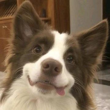 熙砾