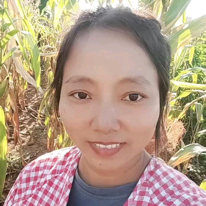 阿秋~小彬彬（晚上开播）