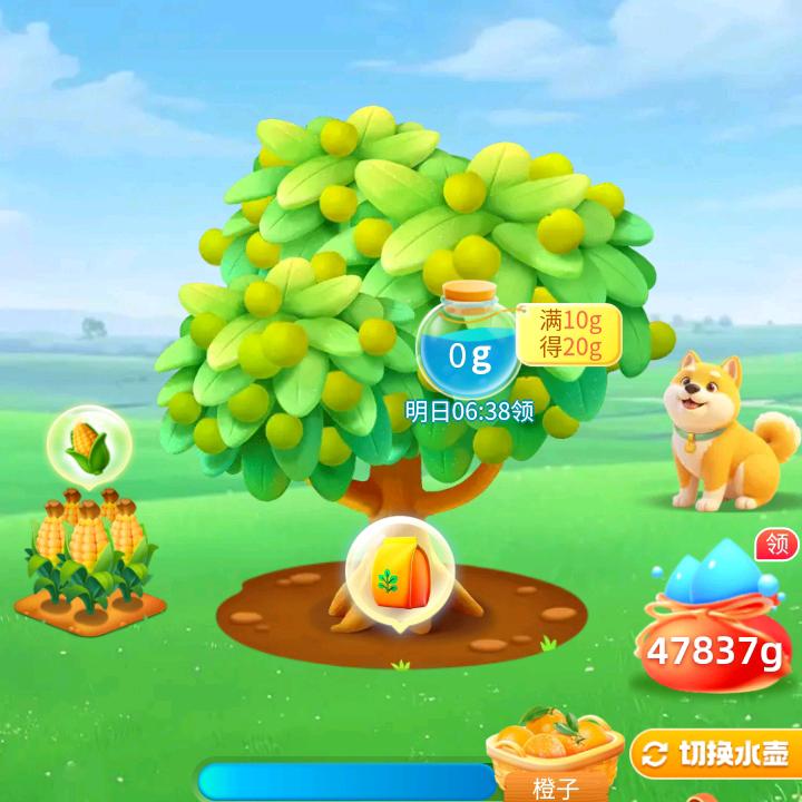 帅哥