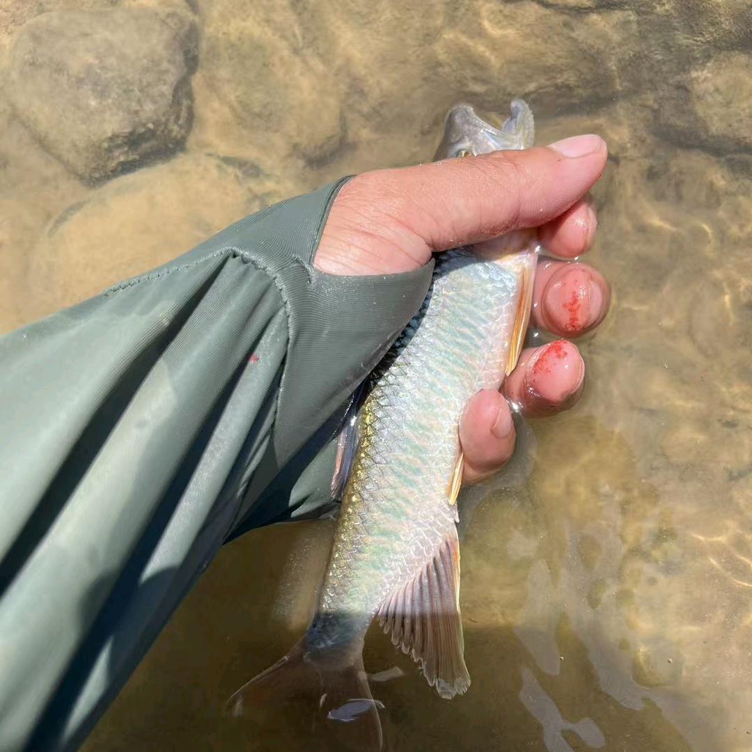 天谴户外（野钓爱好者）