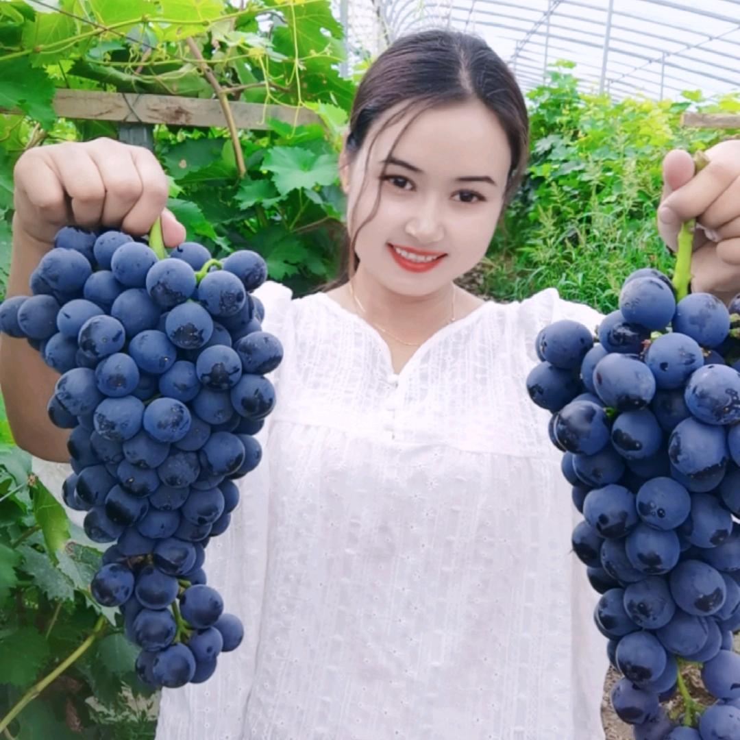 葡萄姑娘祖丽