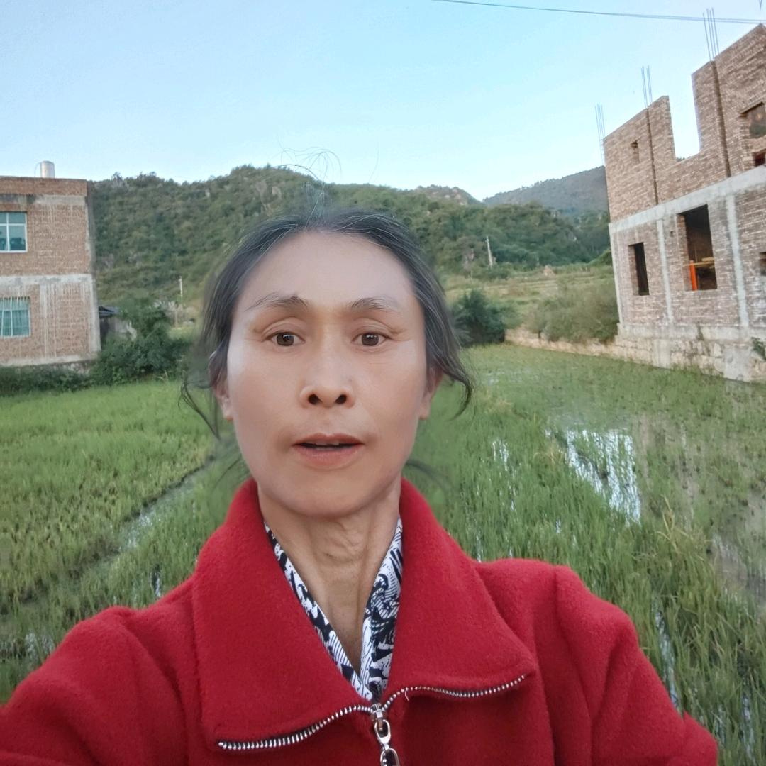 桂莲姐