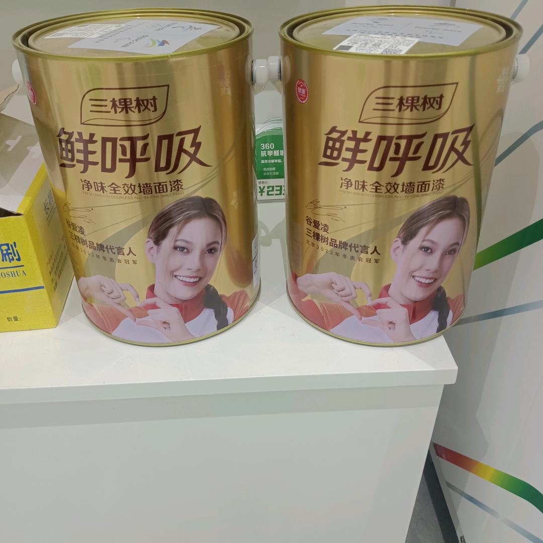 三棵树装修漆(西南国际家居店)