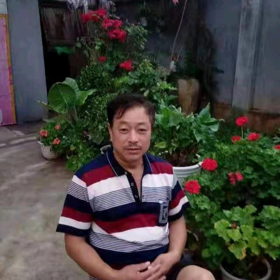 《卧虎藏龙》、