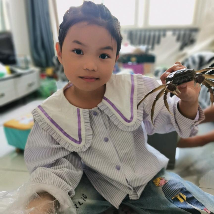 南阳选房柠檬精