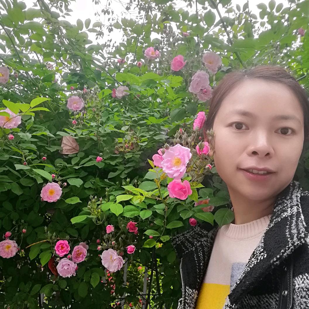梅儿