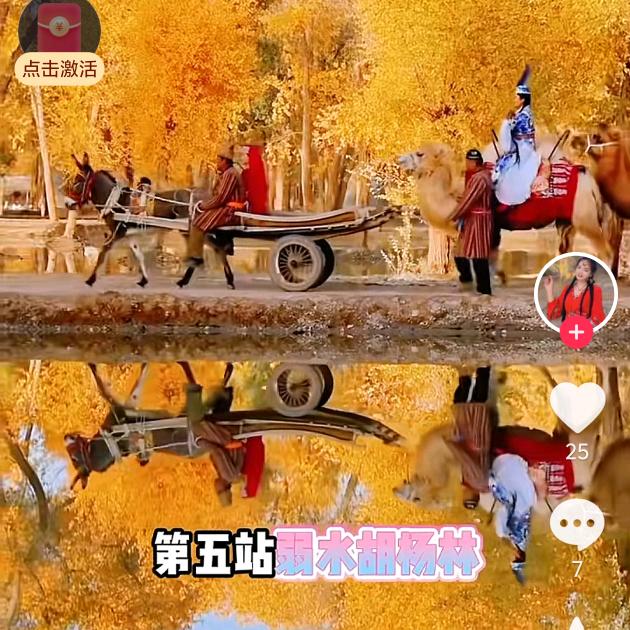 沙漠胡杨