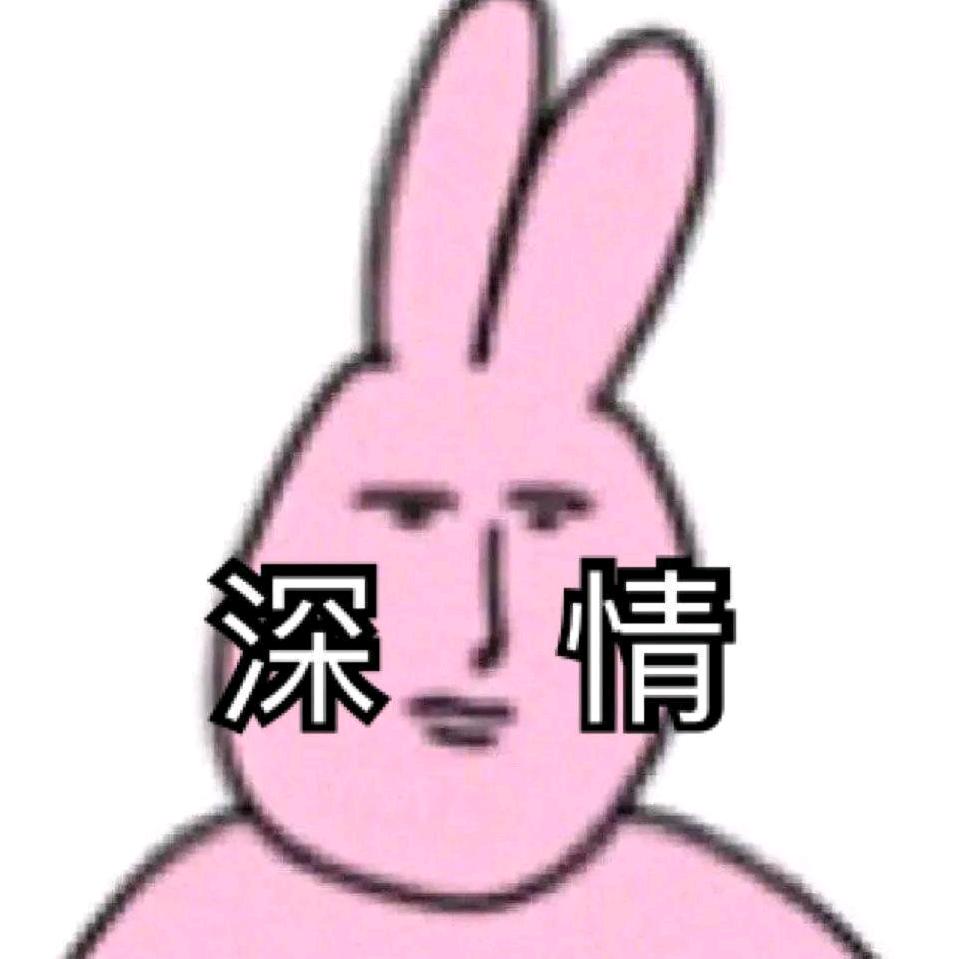 锤锤仙子🧚‍♀️