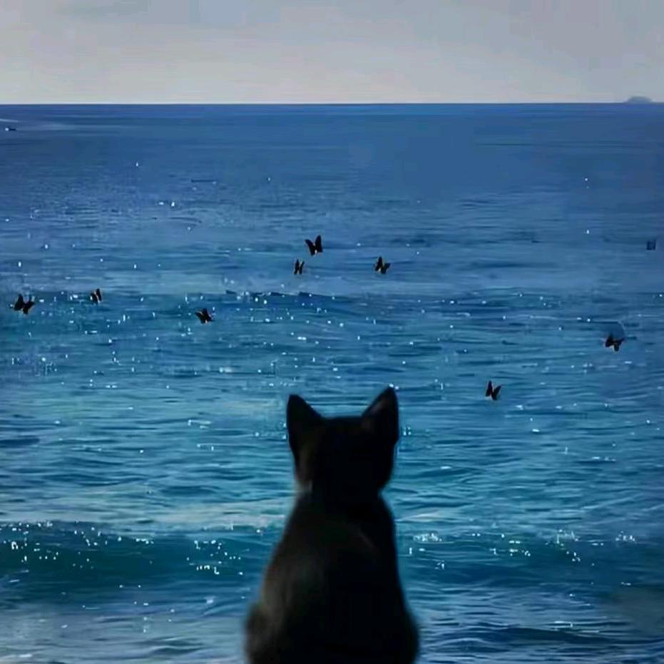 顺达印尼线-阿瑶