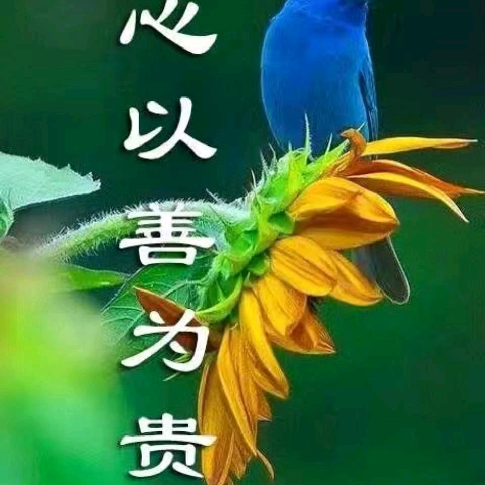 八叔