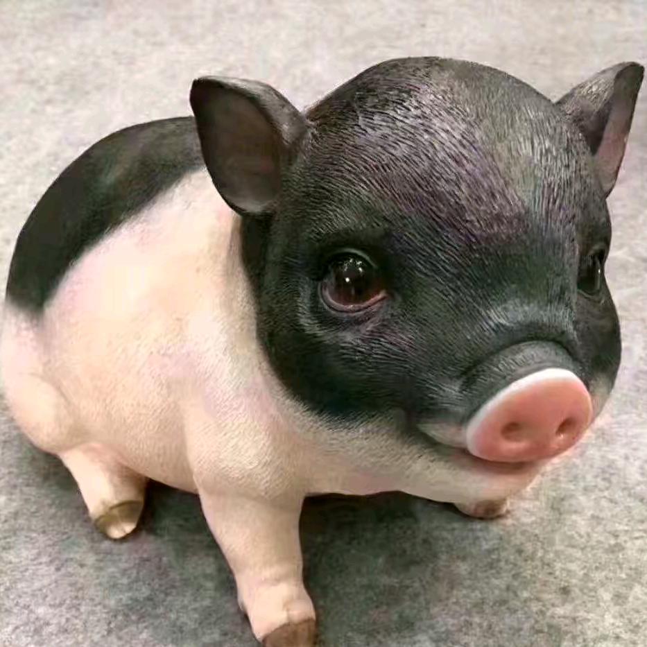 一衰烟雨任江湖