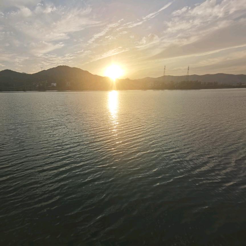 逆风飞翔