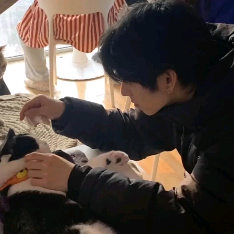 璨