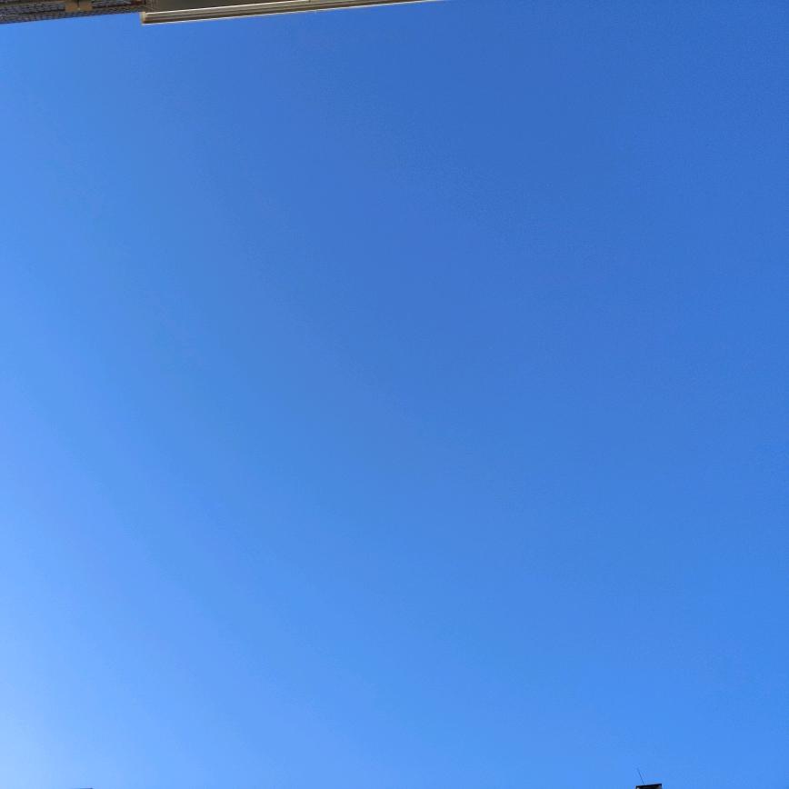 可爱与怒之王