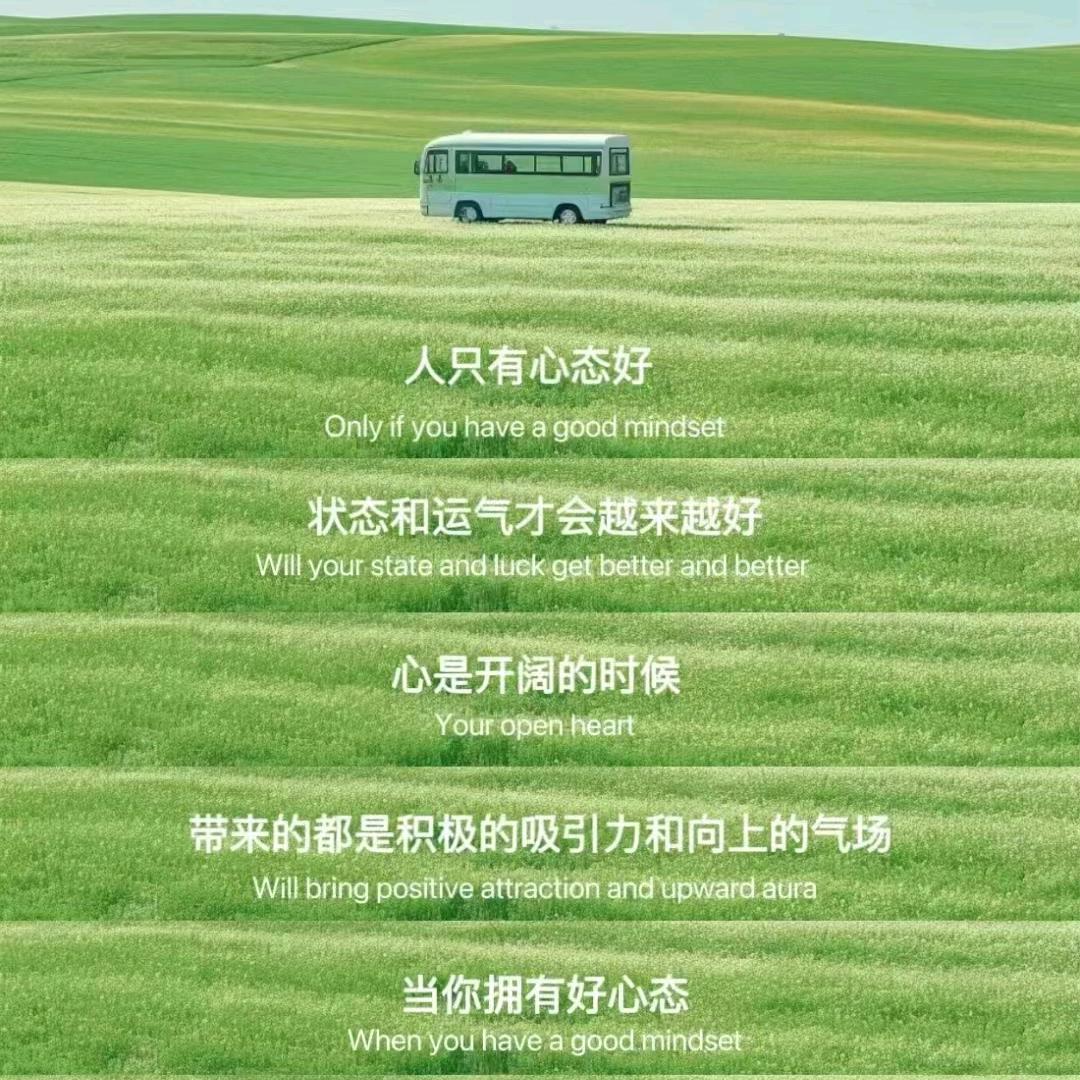 淡雅清韵流年