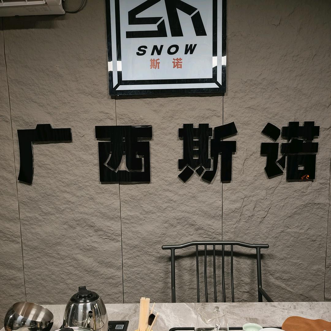 广西斯诺光电