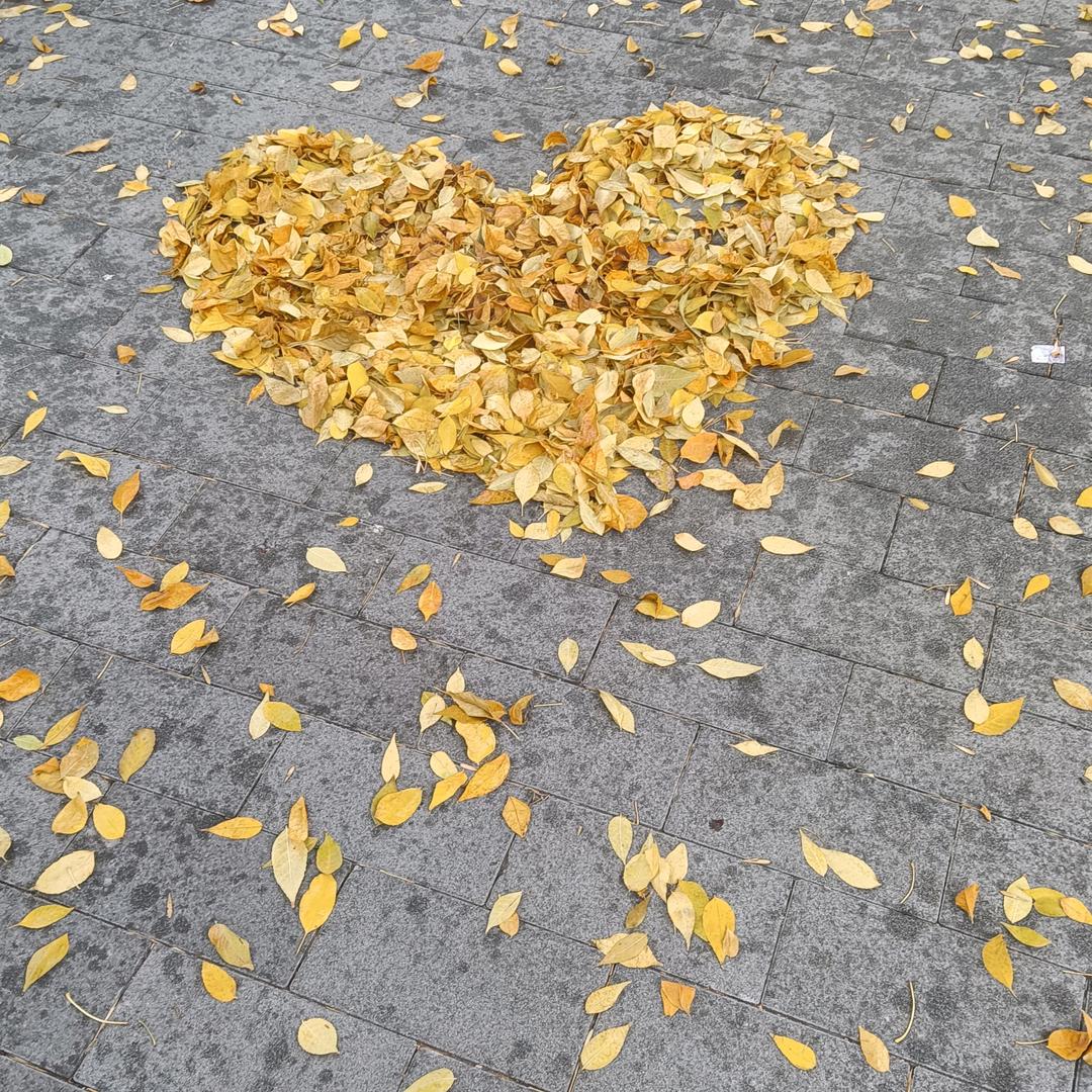 馍馍