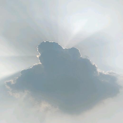 💓浅笑不语💞