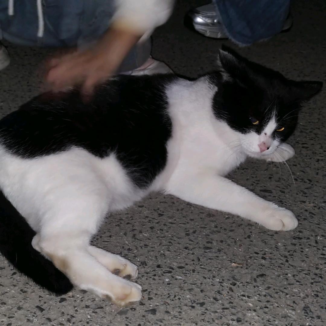 搜不到我哈哈哈