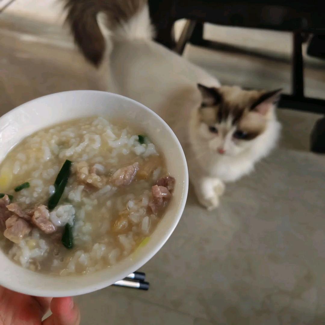 拾卉