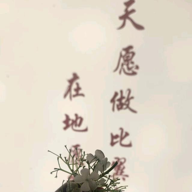 适合中国宝宝的心里质询