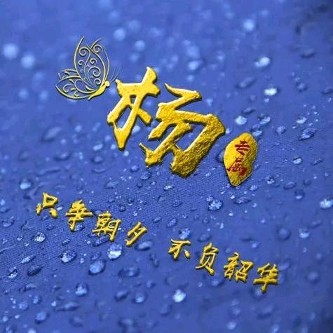丿丶无欲无求