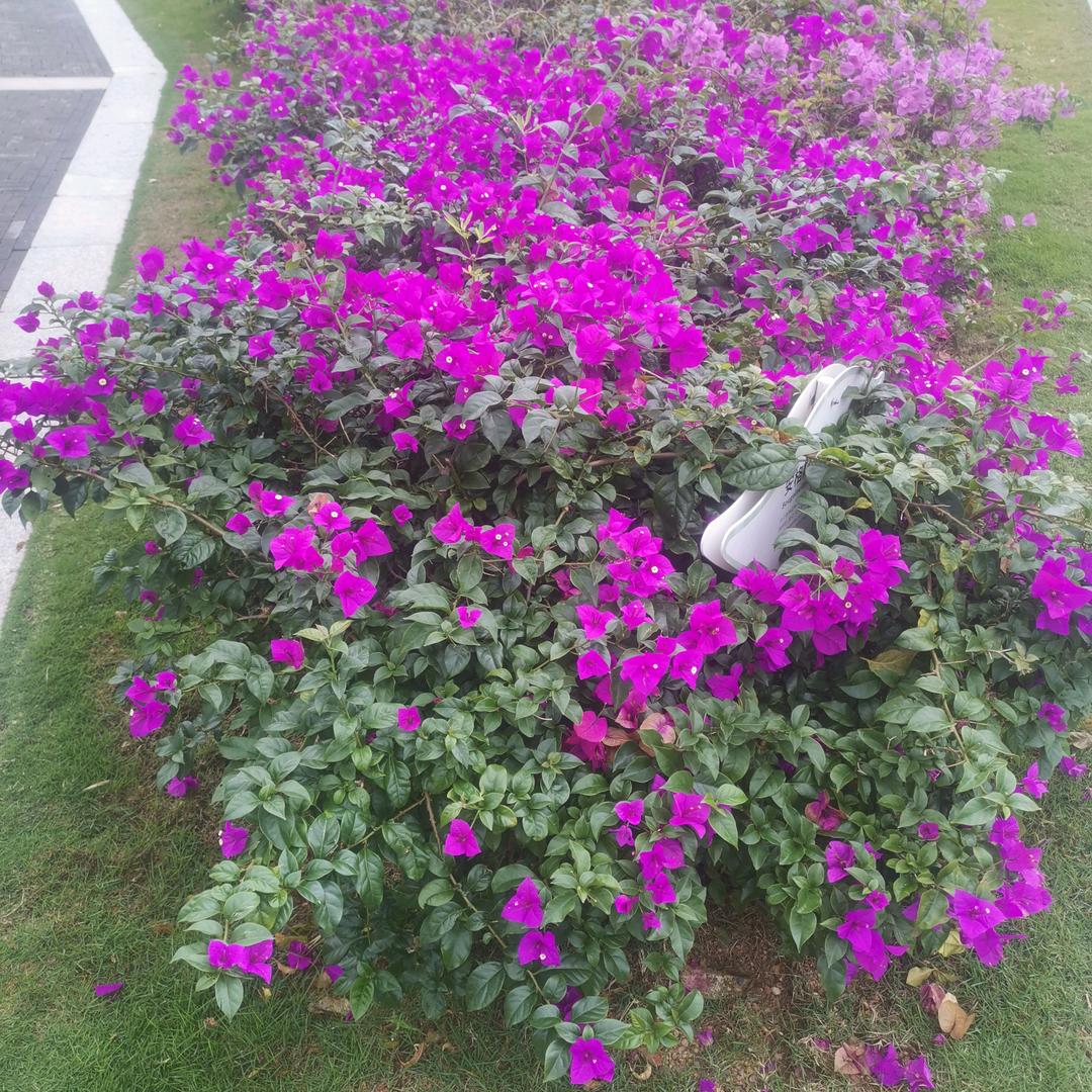 我在等