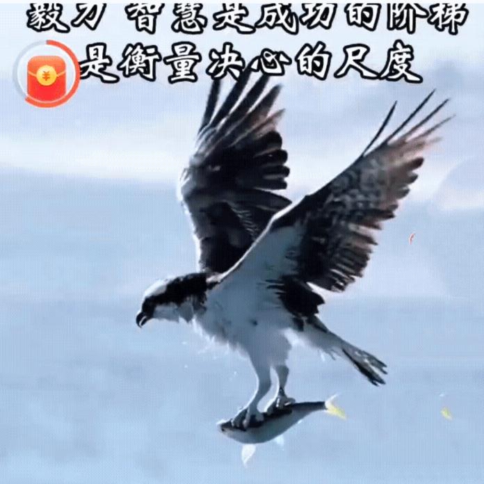穿透时空