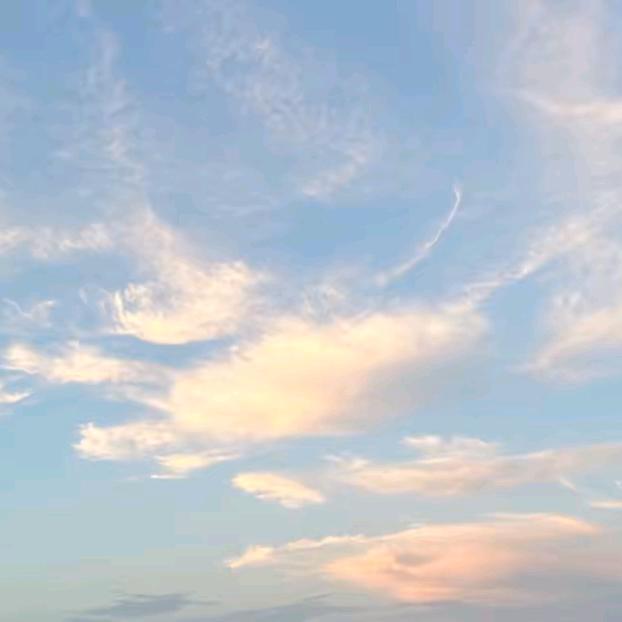 狐小妖的茉莉花