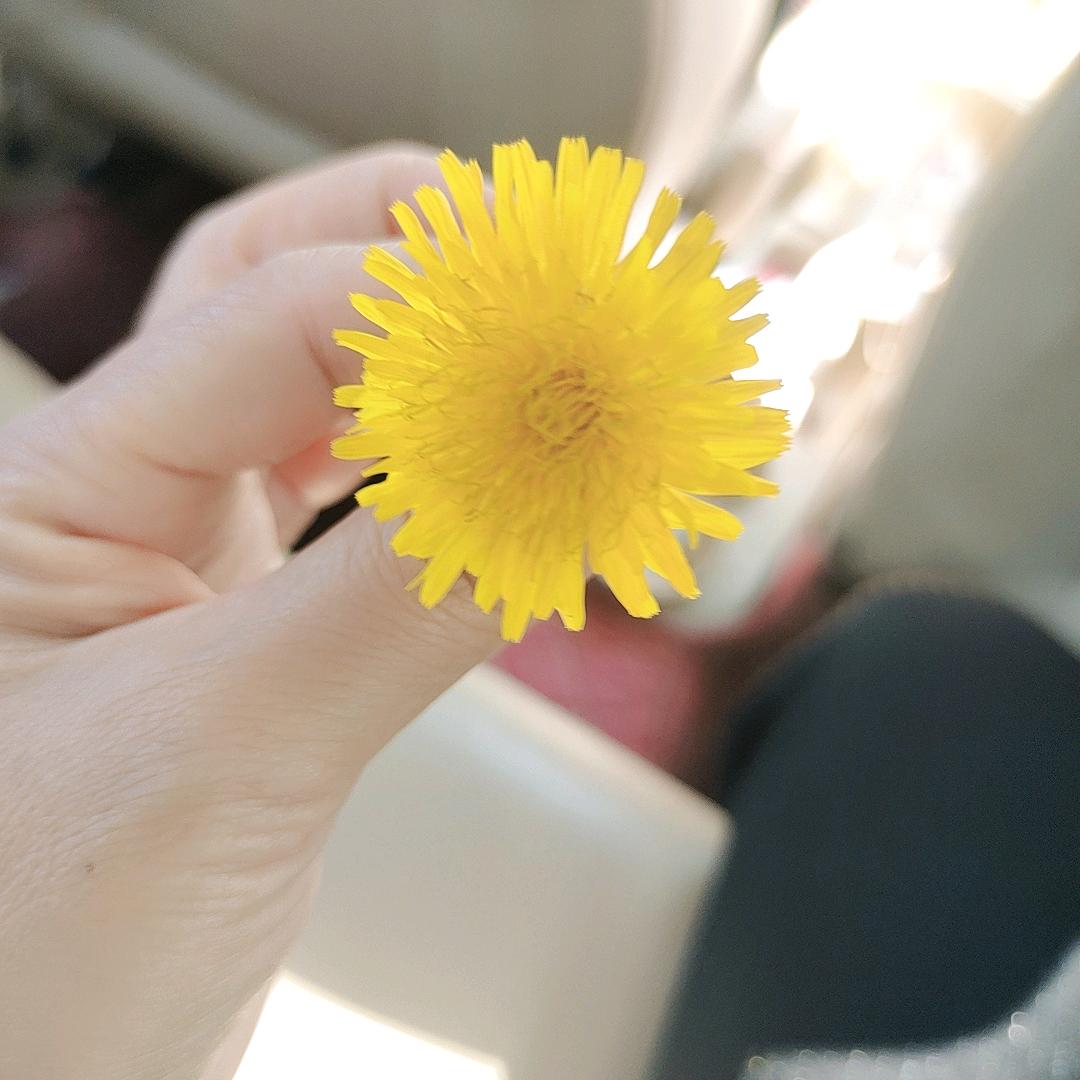 暖茶爱生活