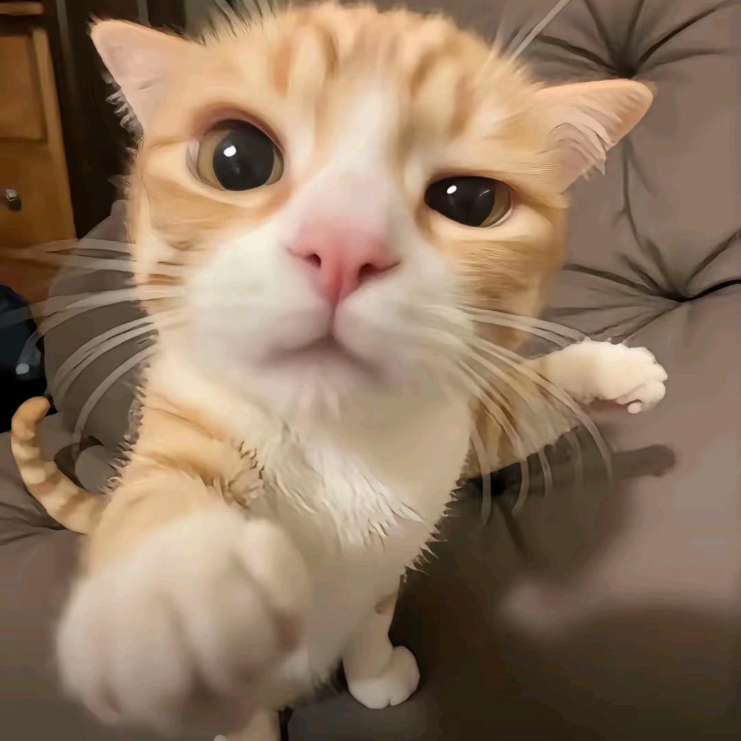 璀璨