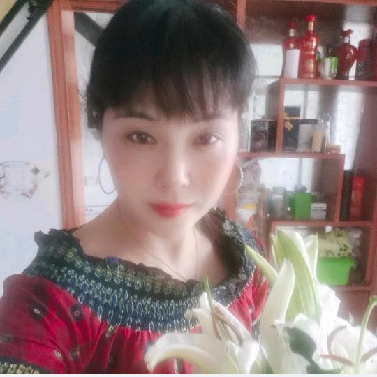 浪漫情怀