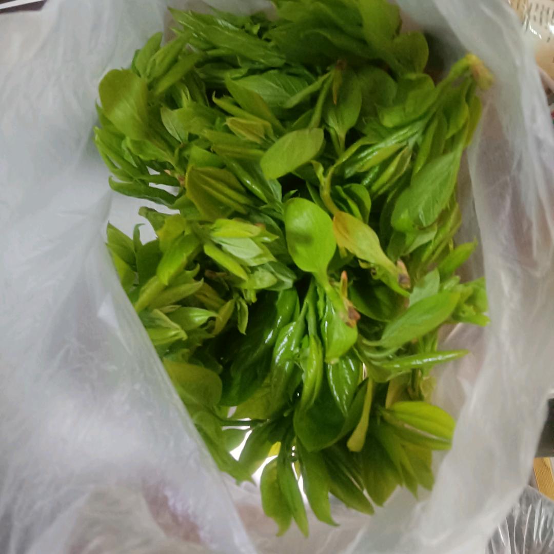 东檬山农场土鸡土鸭土鸡土鸭鹅