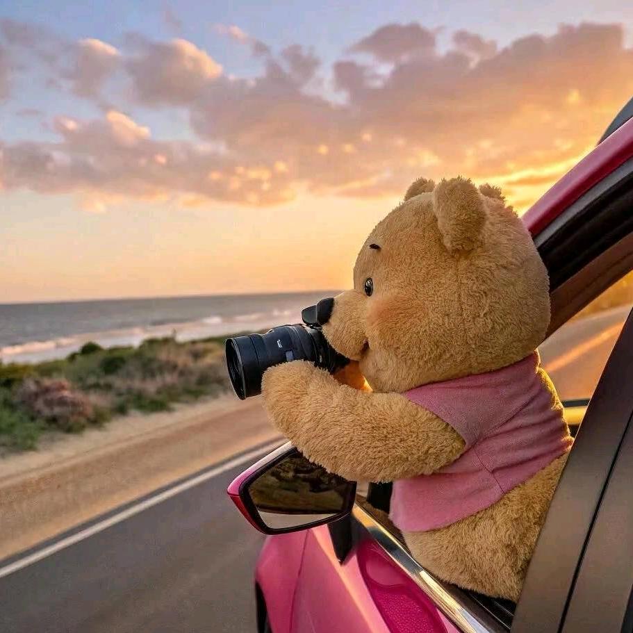 蜡笔小新的安慕希🍨