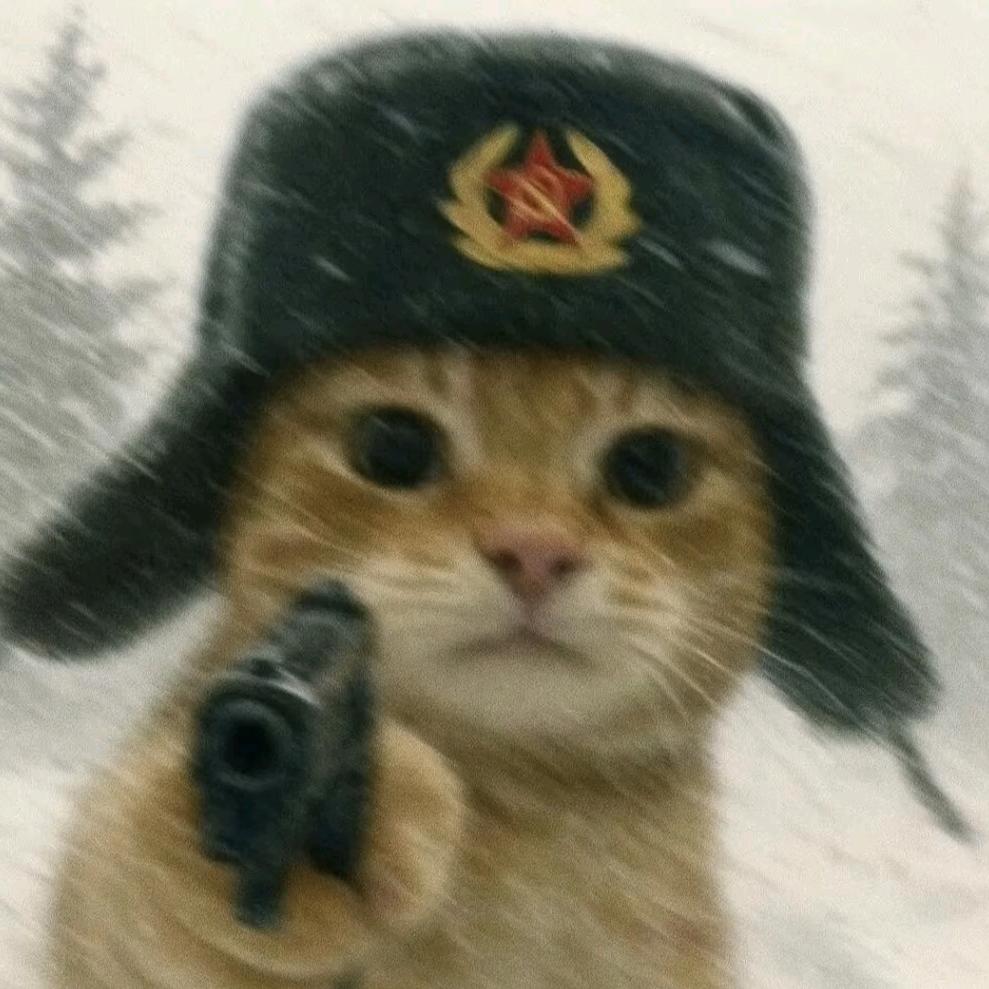 @卿尘-三角洲行动