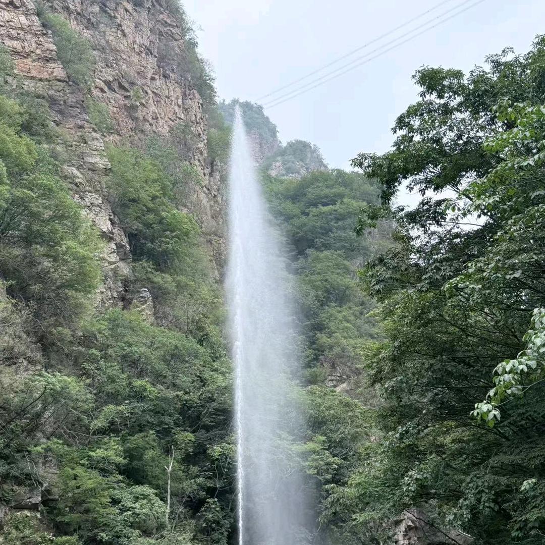 39市场东北拌菜（招学员）