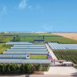 洛阳明拓家庭农场