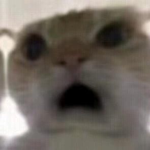 𝒞𝒽ℯ𝓃