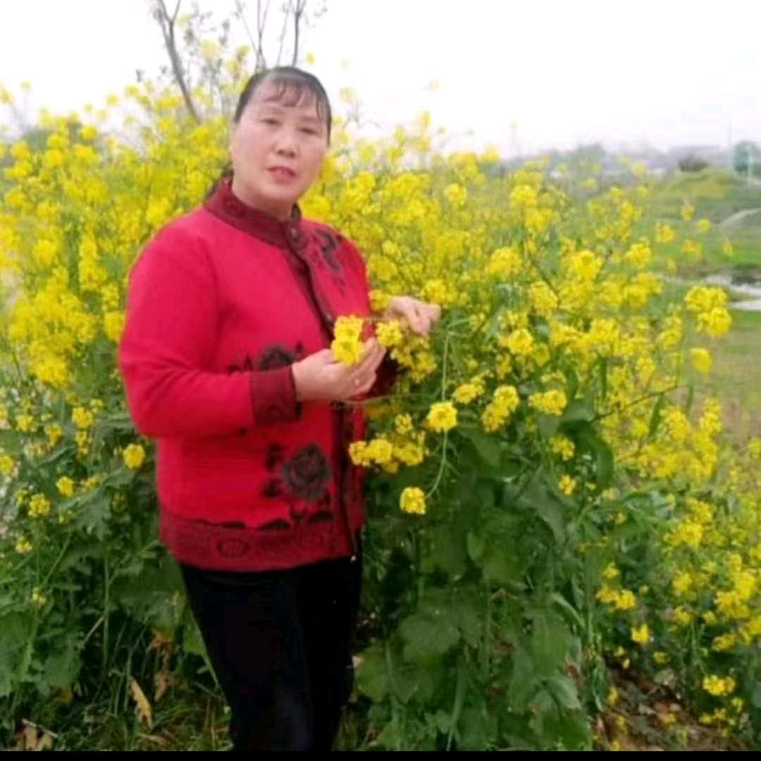 田姐