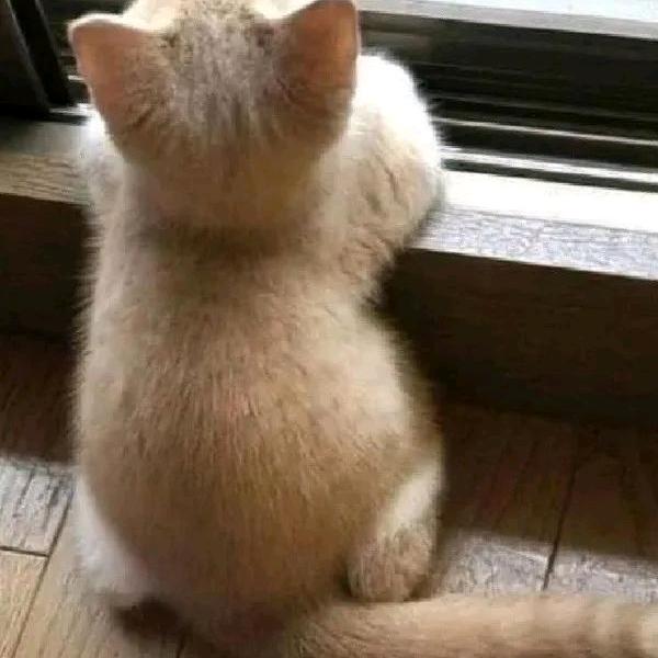 ོ陈ꦿএ᭄