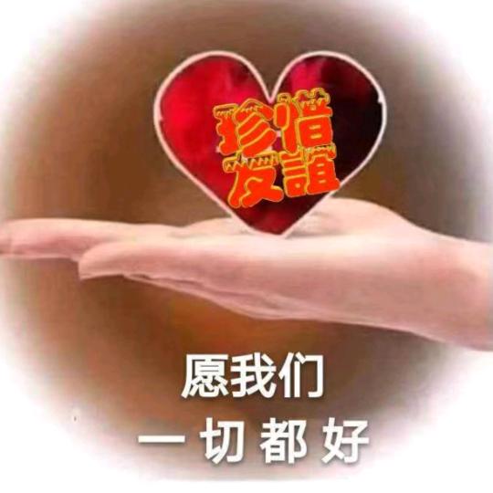 康硕518