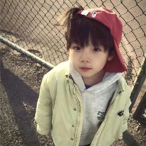 念🕸️
