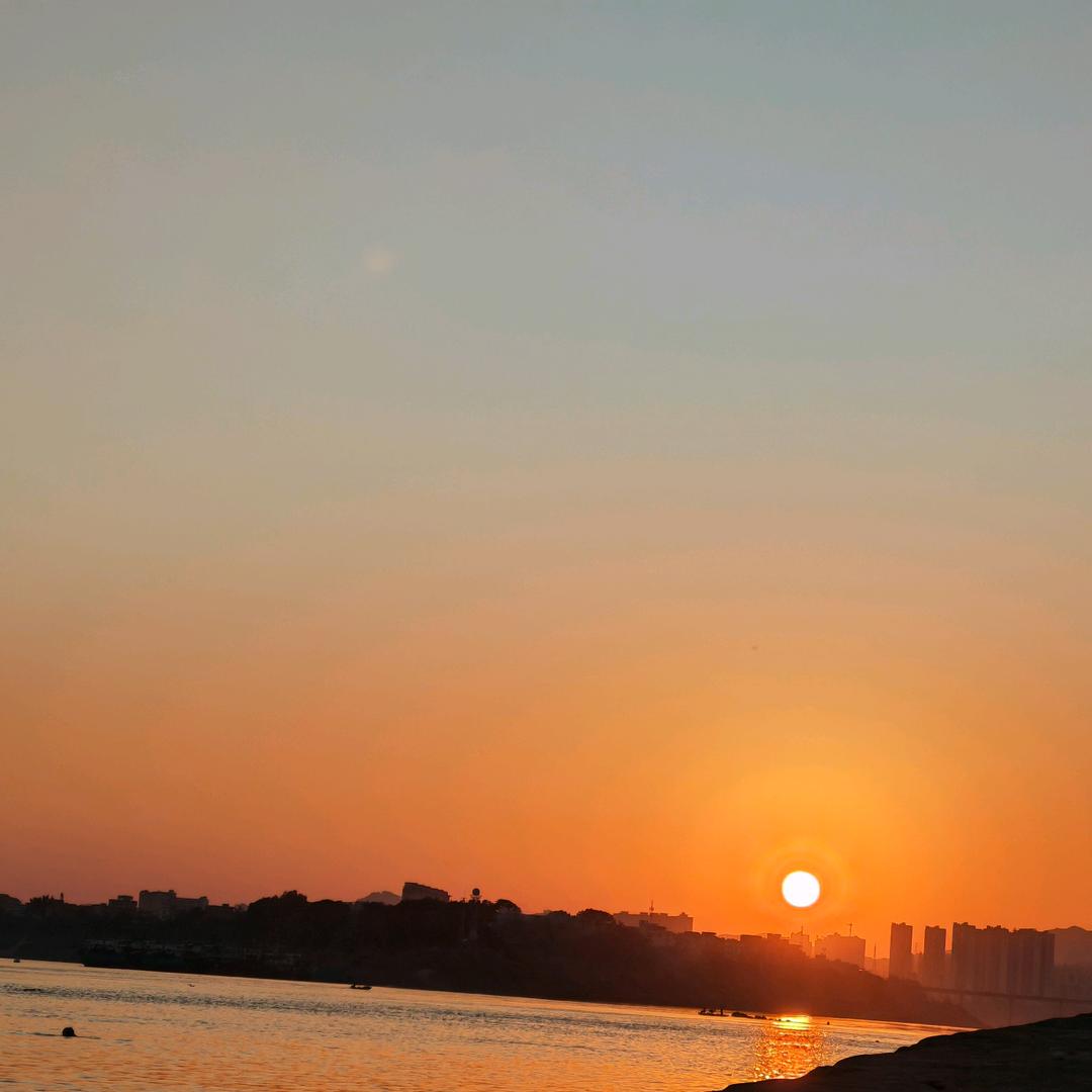 找不到家的机密