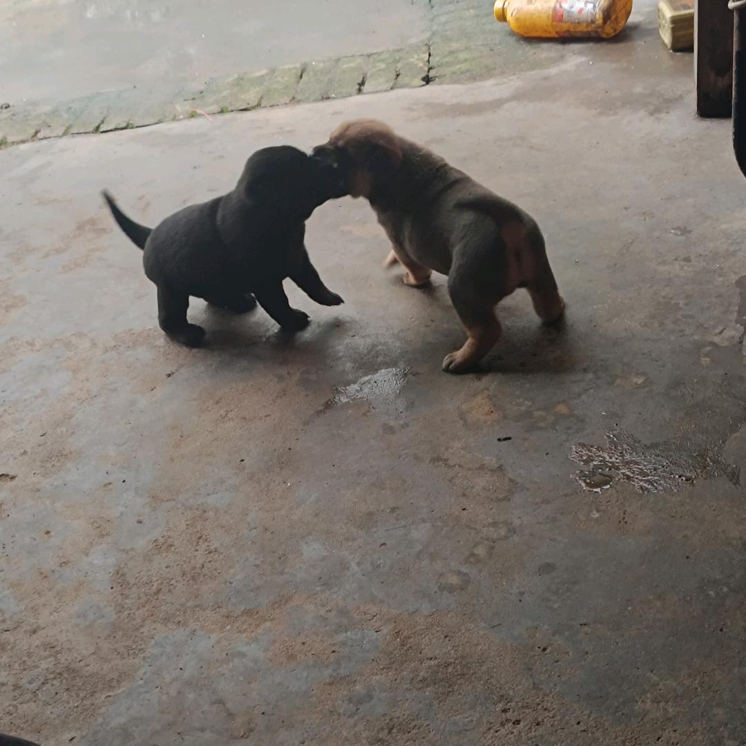 🌈幻境花水月梦