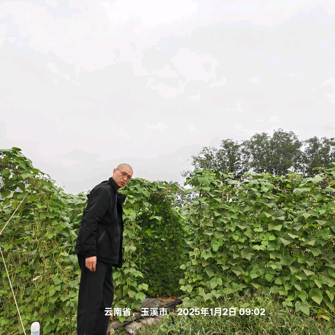 大个说种植