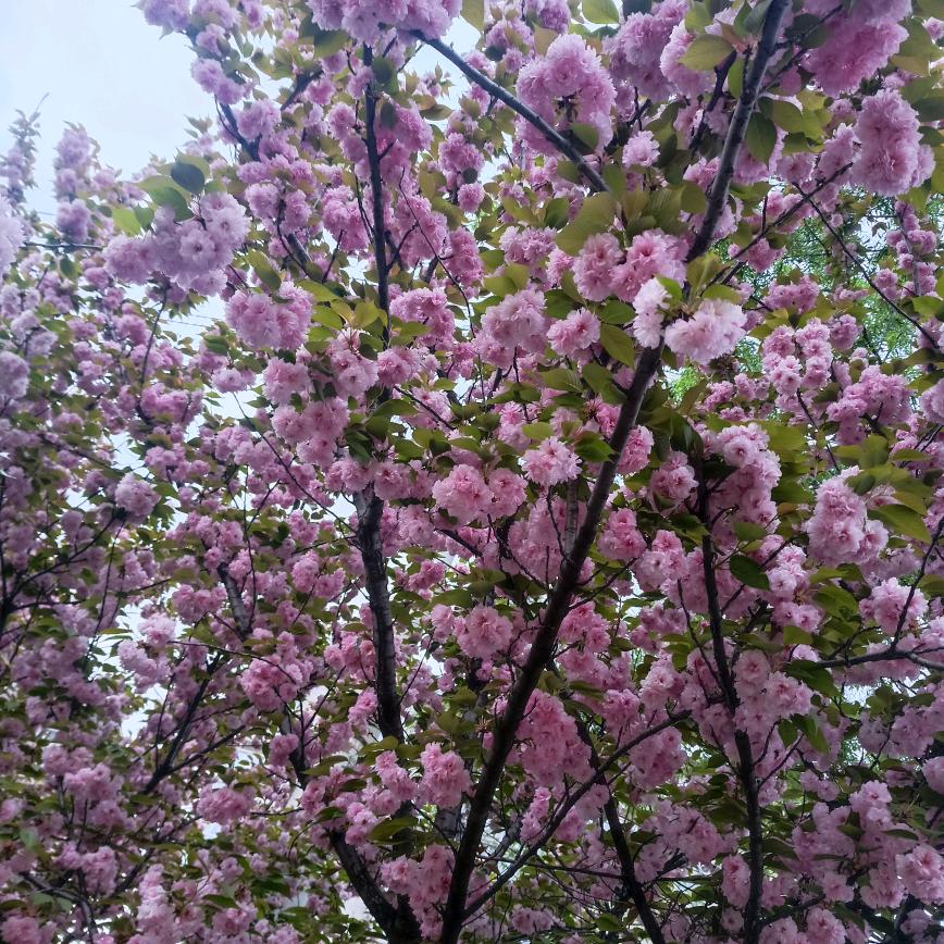 这一个夏天