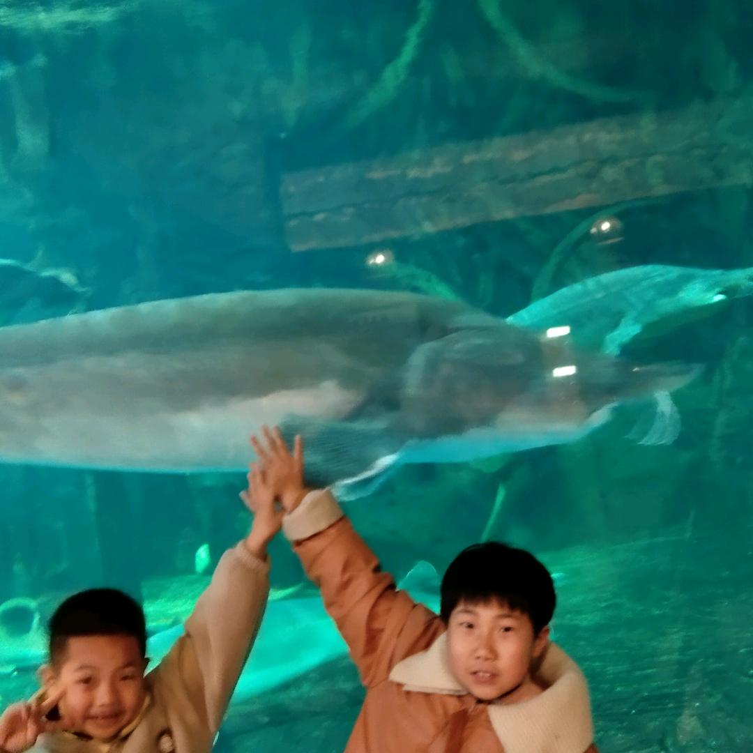 周婷🐬🐬🐬🌺🌻🌻🌹🌷🌷