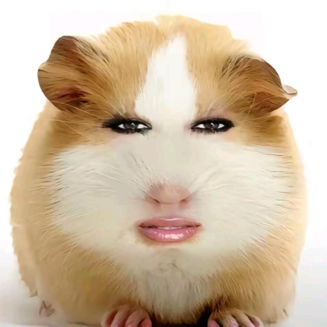 暴走猪妞