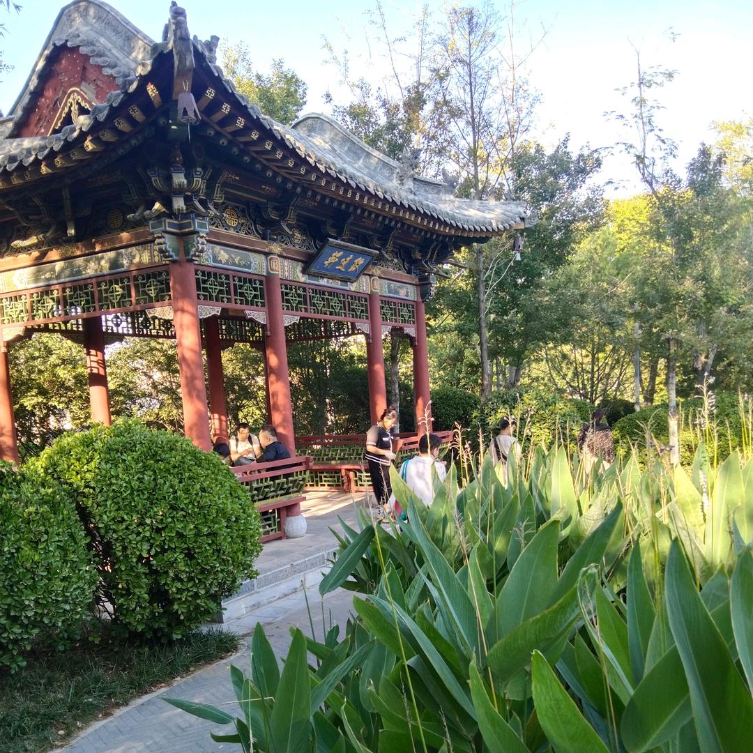 明天更好