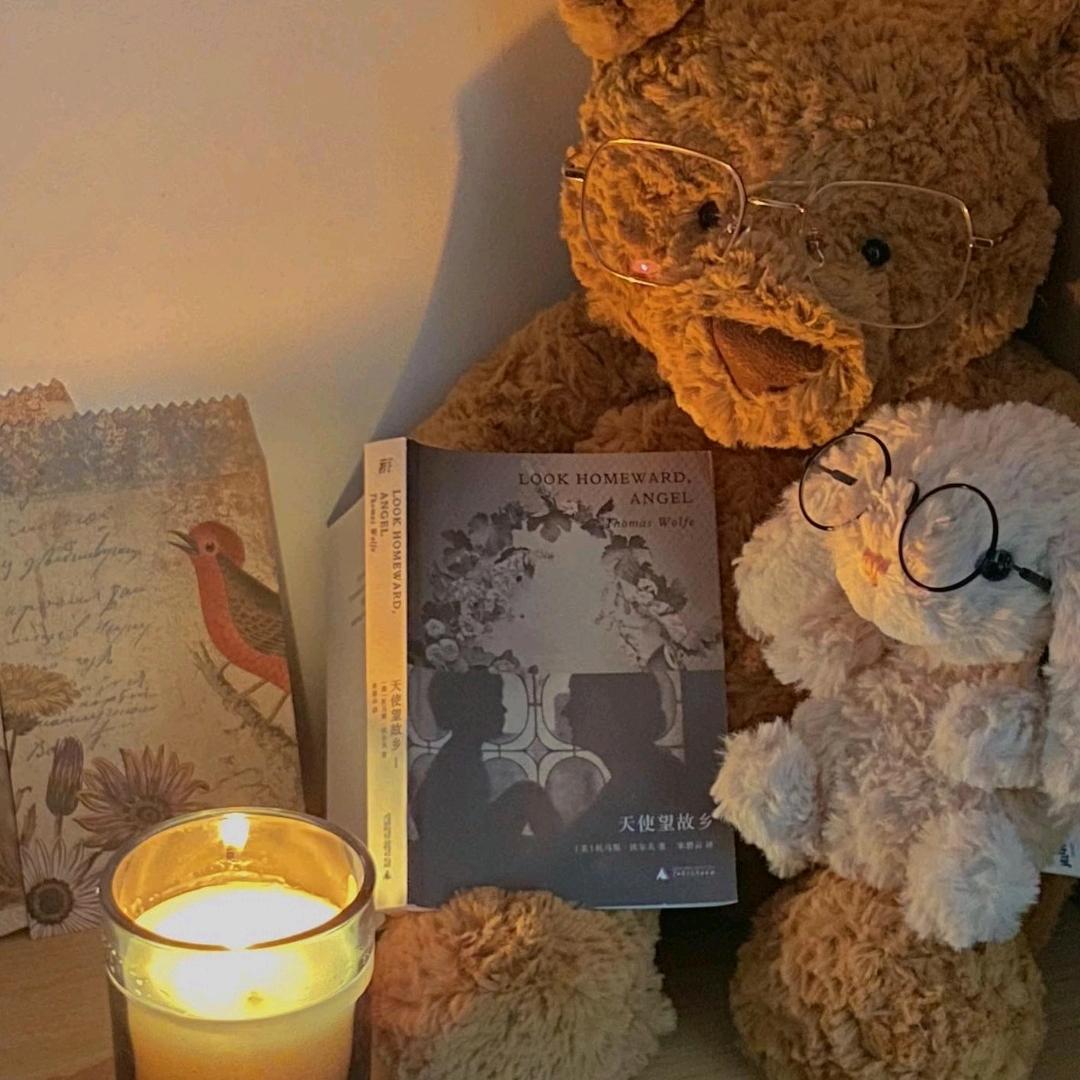 AAA网约车二鸟师傅（没有驾照版）